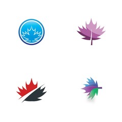 Maple leaf vector illustration