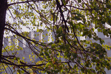 Obraz premium Верхотурье