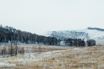 Forest winter landscape in Khakassia with trees and slopes