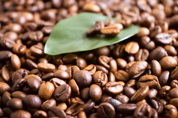 roasted coffee beans, leaf background