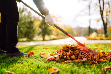 Rake with fallen leavesin the park. Autumn garden works.  Volunteering, cleaning, and ecology concept.