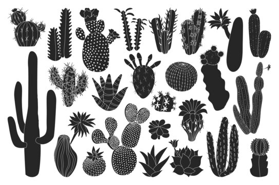 Cactus isolated black set icon. Vector illustration mexican cacti on white background. Vector black set icon cactus with flower.