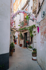 Fototapeta na wymiar Alley decorated with flowers and plants in the historic center of Grottaglie