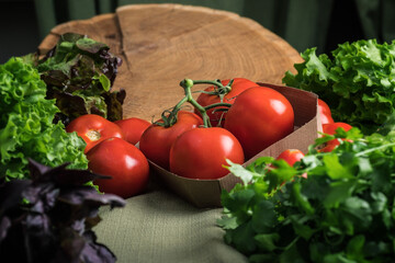 Fresh vegetables. Autumn harvest. Vegetarian still life.