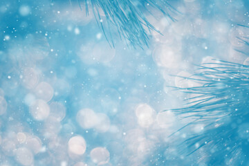 Fir branch on snow. Beautiful abstract winter background.