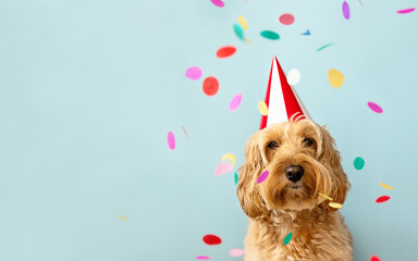 Cute dog celebrating at a birthday party - obrazy, fototapety, plakaty