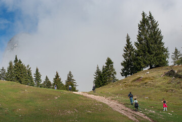 Fototapeta na wymiar famiglie camminano nel sentiero di montagna