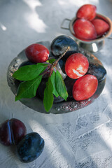 Freshly picked red and blue plums with leaves are lying in a beautiful antique metal plate on the table