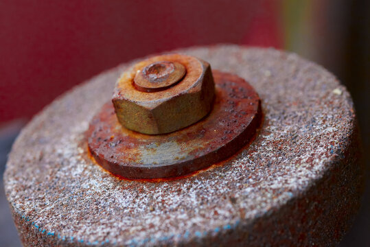 Assembly consisting of a screw and the nut which adapts to it.