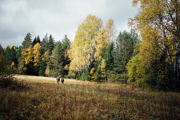 Landscape with an autumn Russian forest and two hunters in the Sverdlovsk region