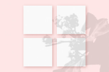 Natural light casts shadows from the plant on 4 square sheets of white paper lying on a pink textured background. Mockup