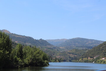 Vineyard hills in the river Douro valley | Encostas vinícolas no rio Douro, Portugal