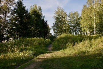 forest path on the Baran peninsula in Yekaterinburg