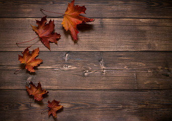 Naklejka na ściany i meble Red maple leaves on a wooden background.