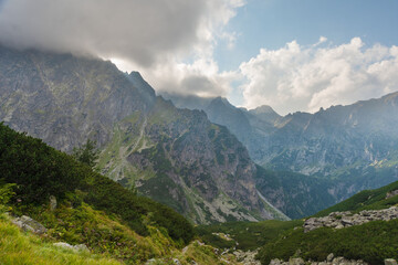 Foggy, summer forest with tall trees in the High Tatras Mountains