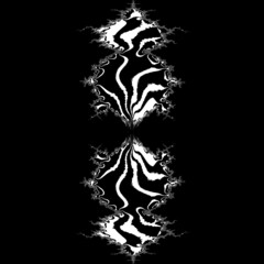 just black and white intricate fractal designs