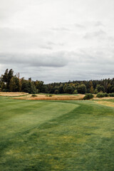 Swedish golf course at the end of the summer 