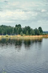 Lake with green and dry grass on banks against forest