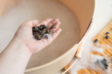 Eco-friendly natural laundry detergent - soap nuts and washboard. Zero waste. A woman's hand holds...