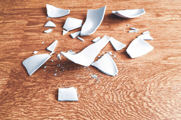  splinters of a shattered Plate. Shards and pieces of a broken dish
