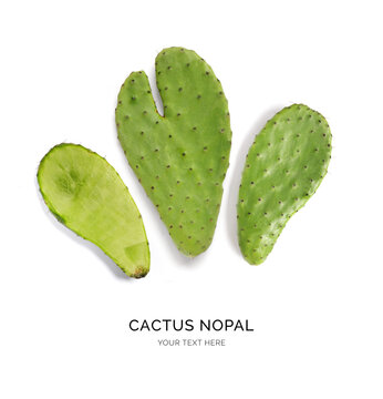 Creative layout made of cactus nopal on the white background. Flat lay. Food concept. Macro  concept.