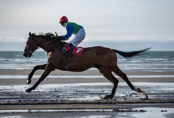 galloping race horses on the beach