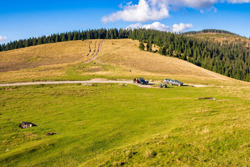 road through apuseni natural park, romania. beautiful countryside landscape in evening light. coniferous forest and grassy meadows on the hills beneath a blue sky with clouds