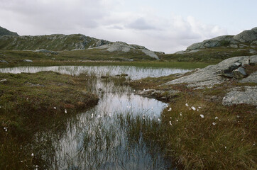 landscape with lake and mountains