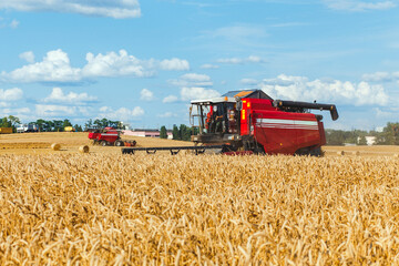 Fototapeta na wymiar Combine harvester harvesting wheat