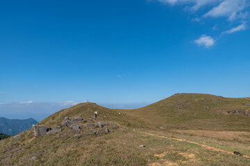 Withered and yellow meadow under the blue sky