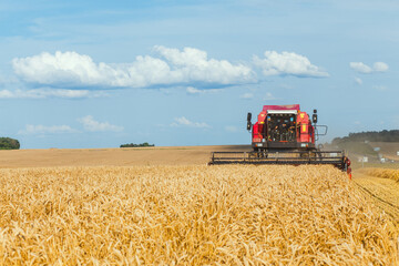 Fototapeta premium Combine harvester harvesting wheat