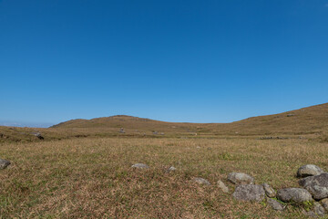 Blue sky and white clouds, withered and yellow meadow