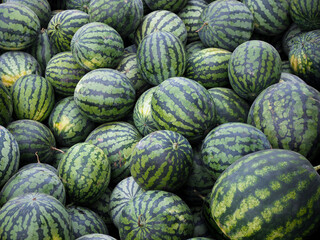 Many big sweet green watermelons on the market