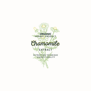 Chamomile symbol natural logo, vector brand identity in line sketch style. Hand drawn nature label. Chamomile medicinal plant with flowers - Logo Template element.