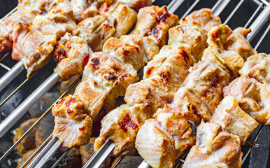 Russian shashlik with skewers on a white plate background.