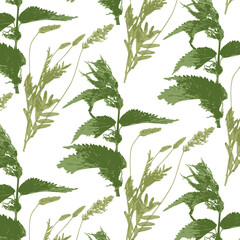 Vector pattern from botanical set of realistic bicolor herbs. The herbarium is collected from meadow grasses. Natural colors and isolated outlines.