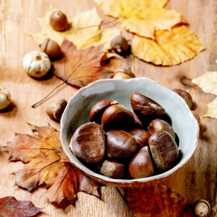 Edible chestnuts and autumn leaves