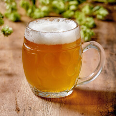 Mug of lager beer