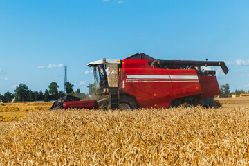 Fototapeta na wymiar Combine harvester harvesting ripe wheat