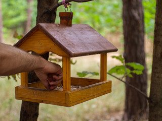 Squirrel and bird feeder on a tree in the woods
