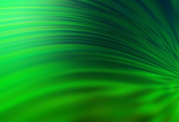 Dark Green vector blurred shine abstract texture.