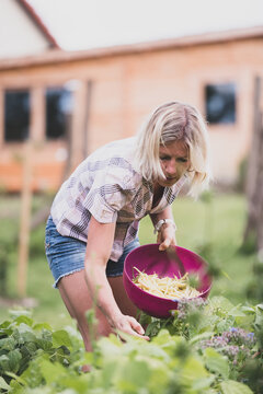 Une femme récolte des légumes du jardin