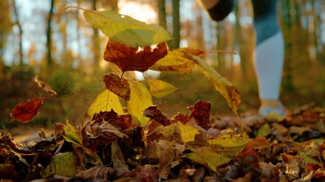 SLOW MOTION, LENS FLARE, CLOSE UP, LOW ANGLE: Scenic shot of an energetic young woman running across the fall colored woods at golden sunrise. Female runner jogs along a forest trail covered in leaves