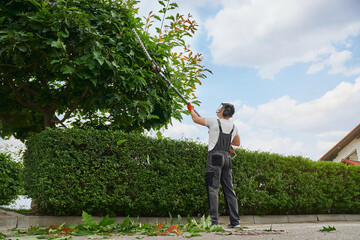 Back view of professional gardener in overalls, protective mask and gloves pruning trees outdoors. Strong caucasian man using petrol hedge trimmer for work at garden. - obrazy, fototapety, plakaty