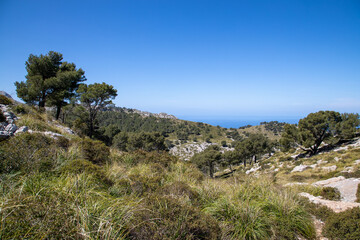 Fototapeta na wymiar hiking around the puig de galatzo, Mallorca