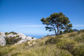 Fototapeta na wymiar hiking around the puig de galatzo, Mallorca