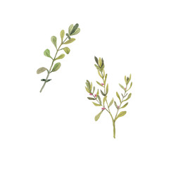 Paint of watercolor set leave on background. Paint watercolor texture. Botanical art. Use for design invitations, birthdays, weddings