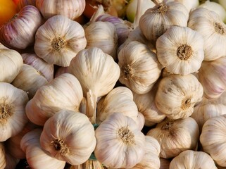 garlic bulbs as wholesome ,spicy vegetable