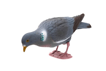 Plastic stuffed pigeon. Hunting bird bait. Isolate on a white back