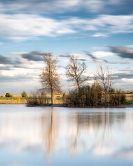 landscape with lake and trees